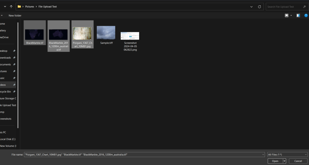 Click the 'Upload Files' button