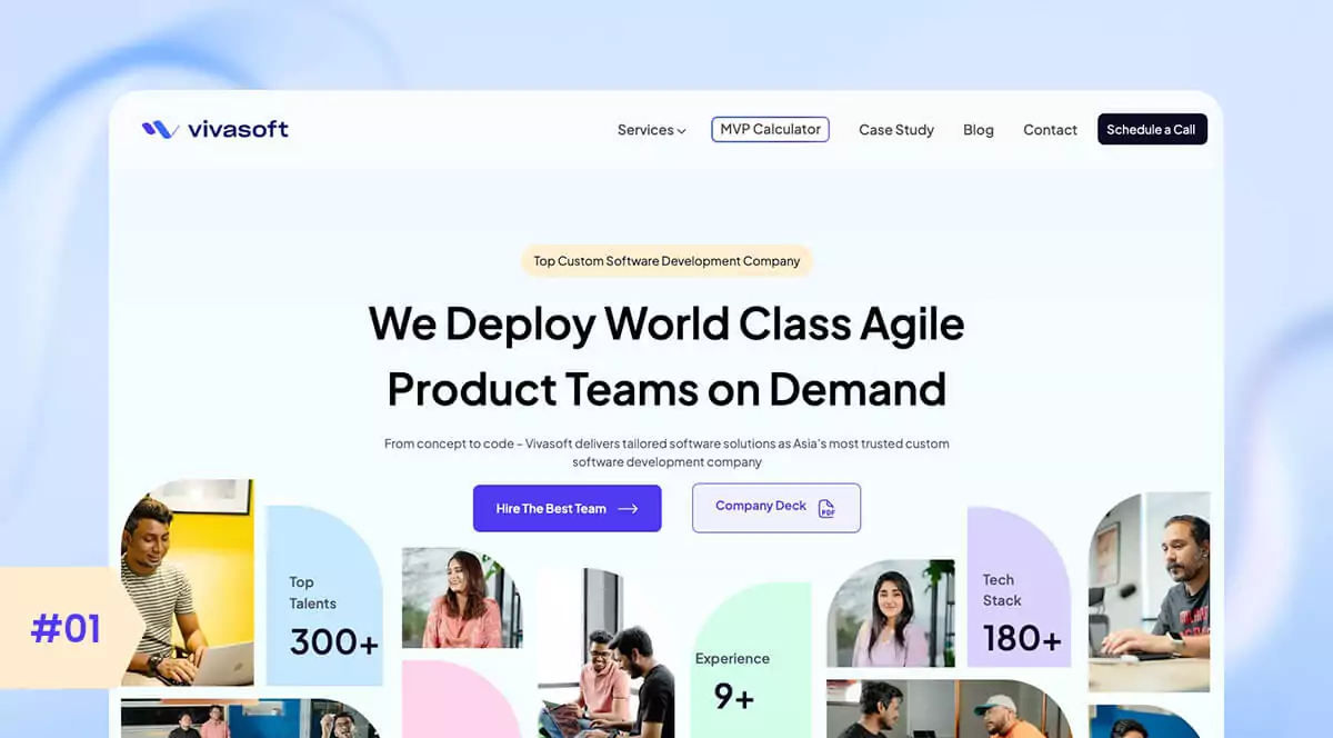 Vivasoft Limited