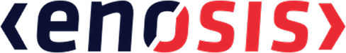Enosis Solutions logo